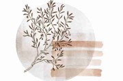 【蘑菇影视官网】先锋级视觉盛宴评测 - 立体呈现，蘑菇影视安卓版官网下载